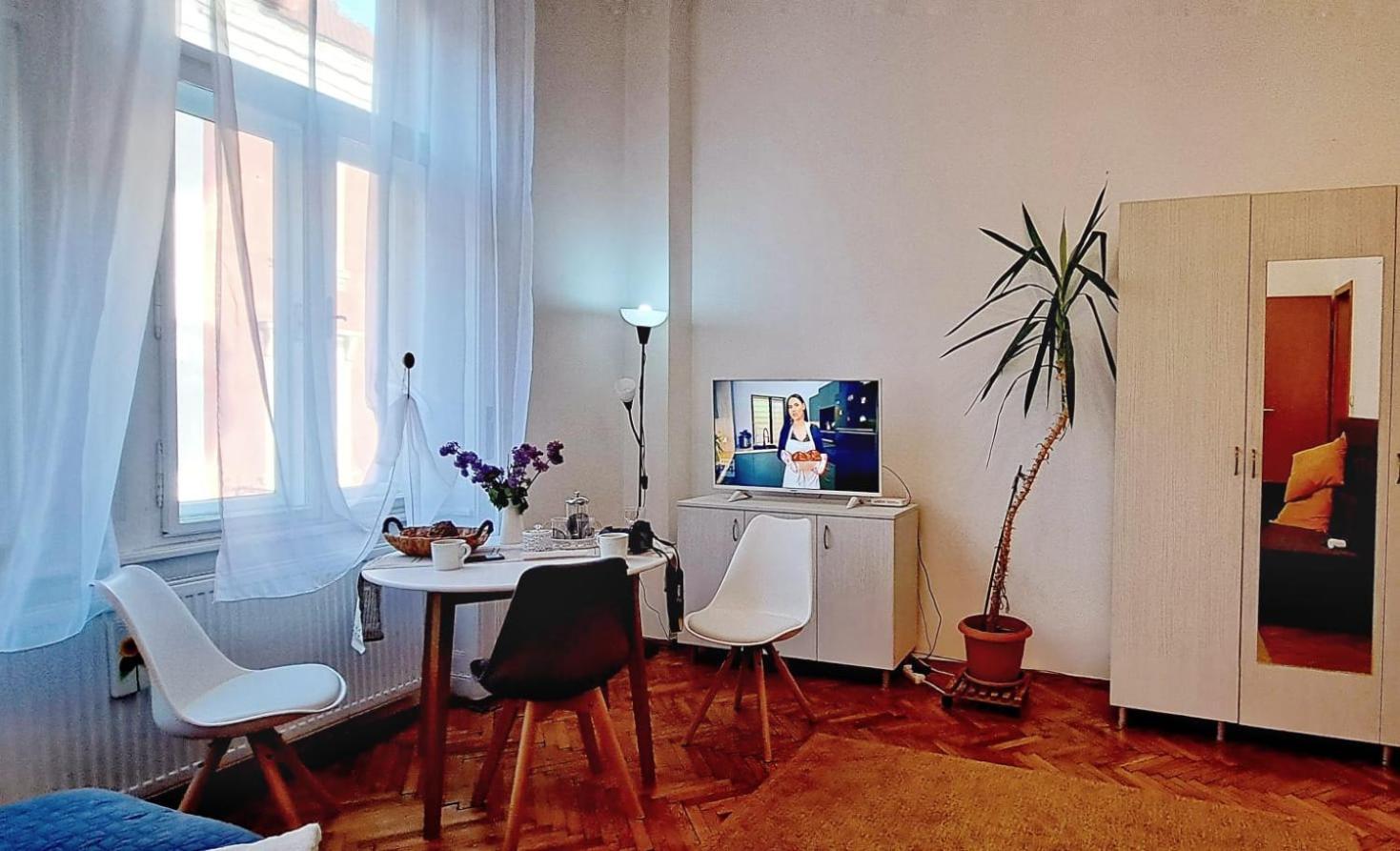 Travel And Music Apartment Тимишоара Экстерьер фото