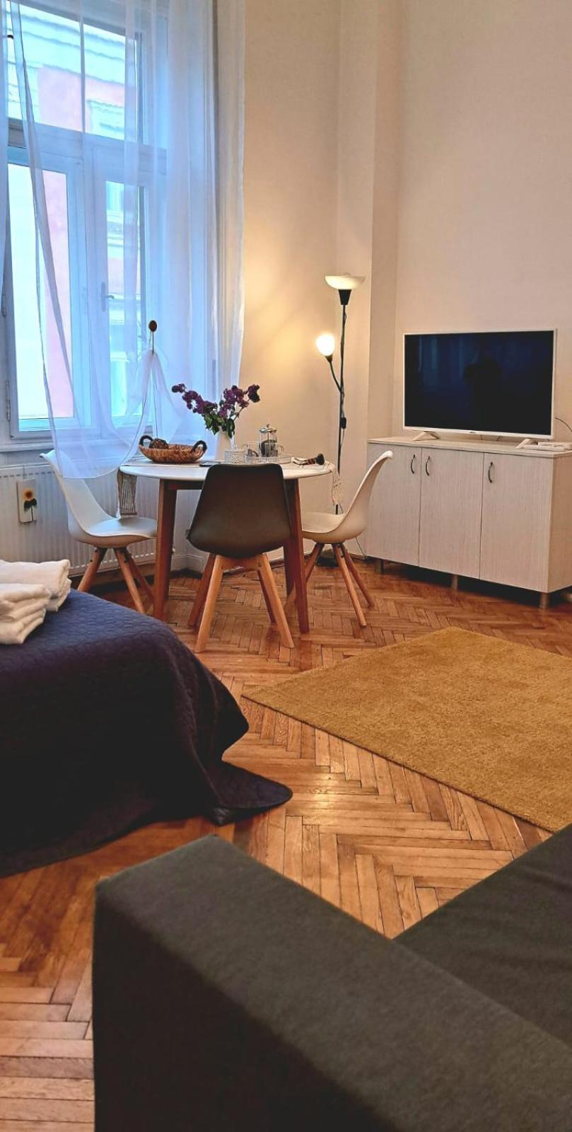 Travel And Music Apartment Тимишоара Экстерьер фото
